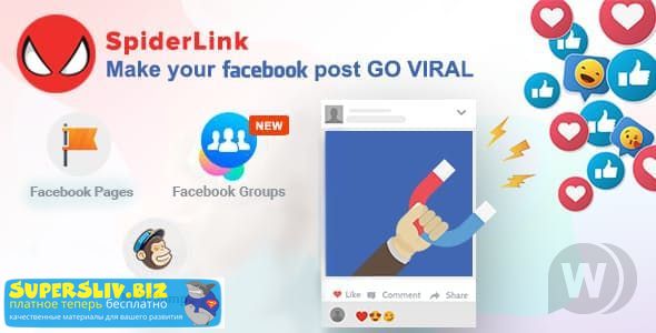 1558454758_facebook-spiderlink
