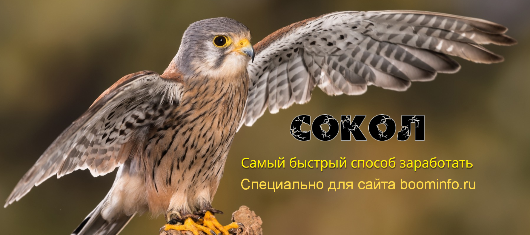 2020-02-13_20-04-44