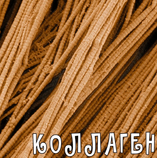 2023-01-24_21-58-10