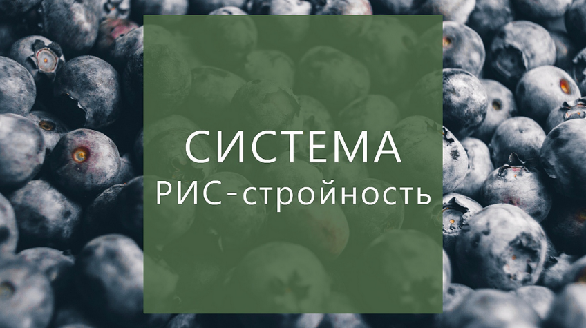 2023-06-27_12-14-43