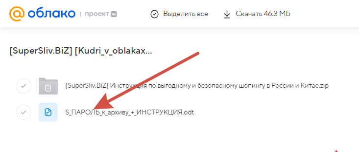 2023-11-13_13-51-33