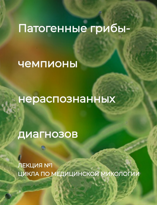 2023-11-28_20-47-48