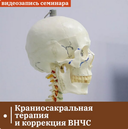 2024-01-28_10-21-53