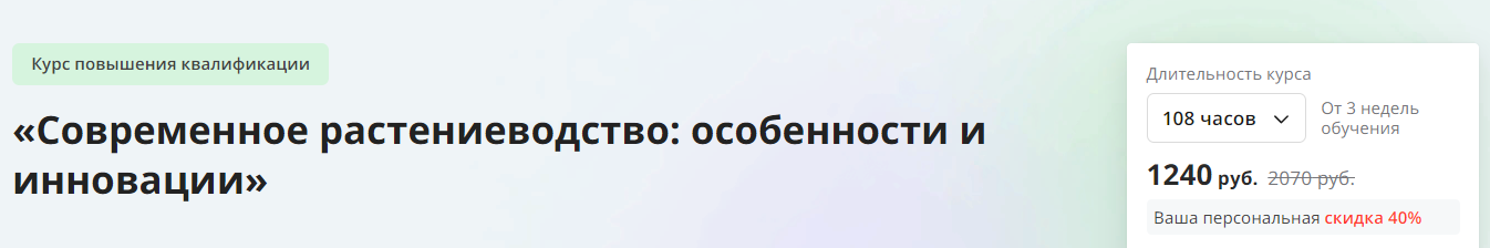 2024-07-31_08-18-49