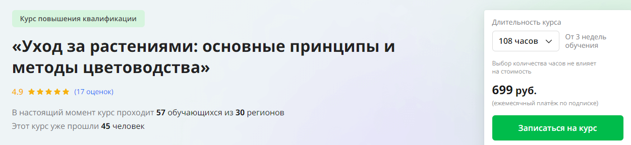 2024-11-19_18-00-47
