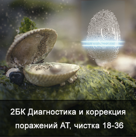 2024-11-20_05-44-18