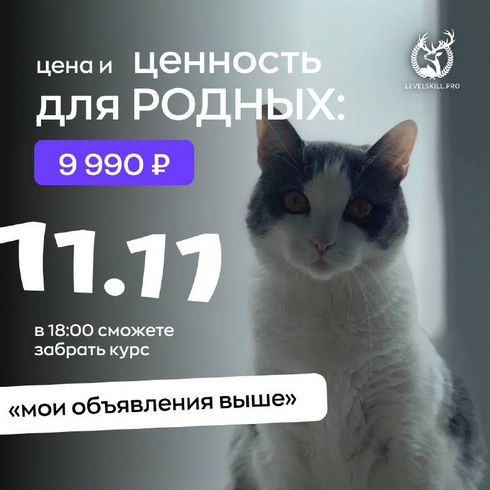 2024-11-27_18-48-51
