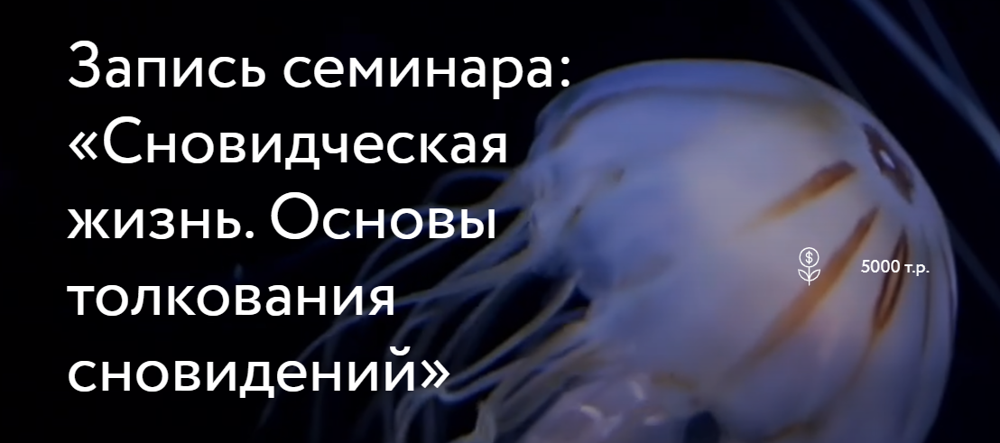 2025-01-15_08-09-04