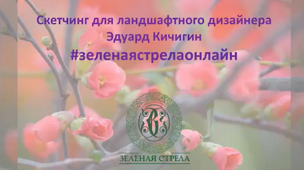 2026-02-13_15-17-28