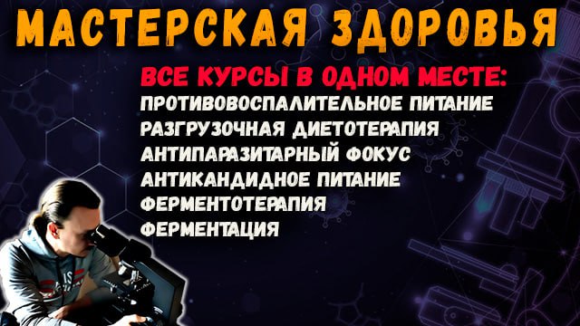 2026-08-08_10-29-15