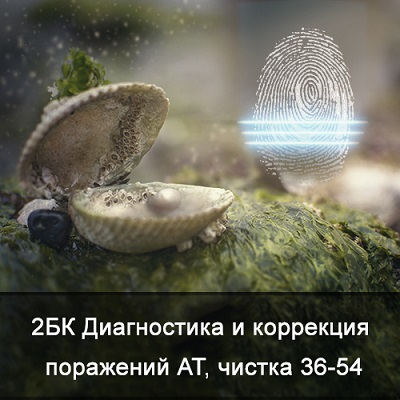 244