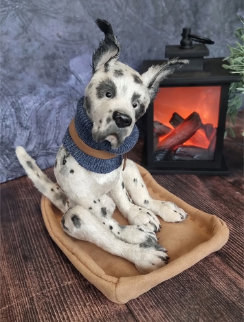 27