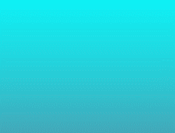 32247_0
