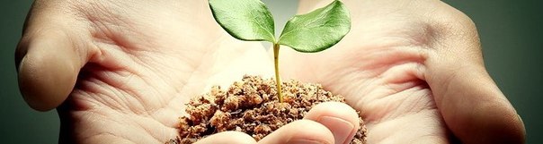 34037_0