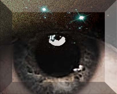 36037_2