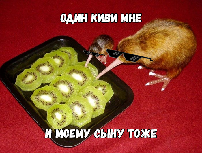 437befb27888dd624b08f