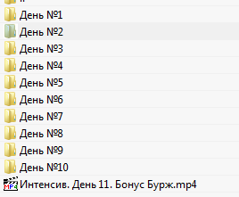 50856_1