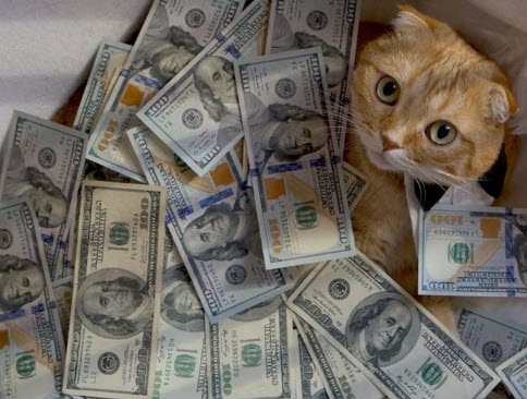 77