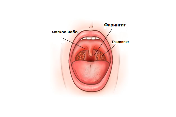 900e8725b513c3e5febbfafd52e70907