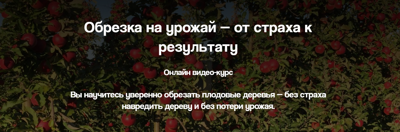 _имени