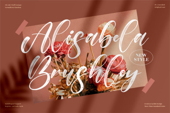 Alisabela-Brushley-Fonts-15954859-1-1-580x387