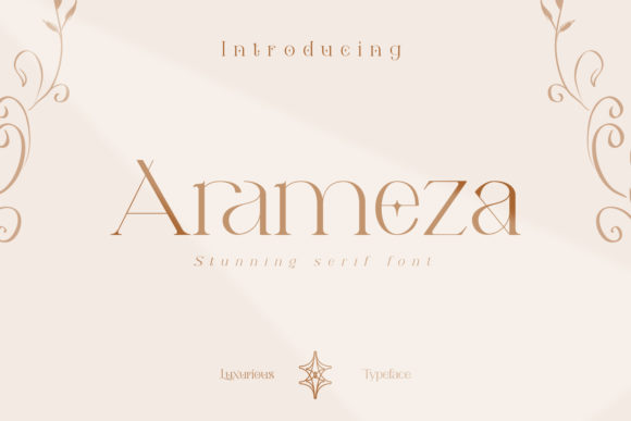 Arameza-Fonts-12135007-1-1-580x387
