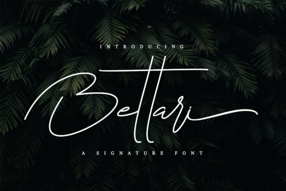 Bettari-Fonts-12700666-1-1-580x387 (1)