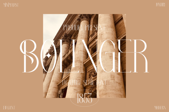 Bolinger-Fonts-16760218-1-1-580x387
