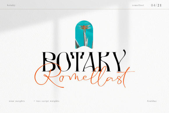 Botaky-Romellast-Fonts-10715232-1-1-580x387