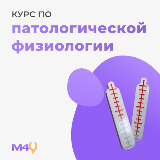 bXrdGei_few