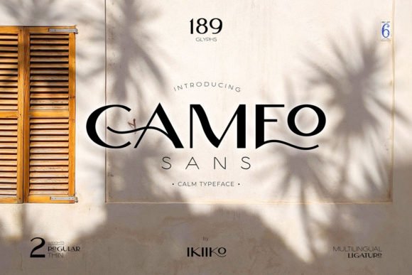 Cameo-Fonts-13750875-580x387