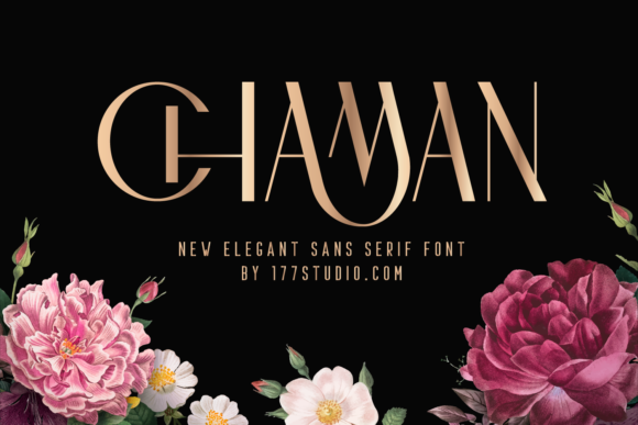 Chaman-Fonts-12394451-1-1-580x387