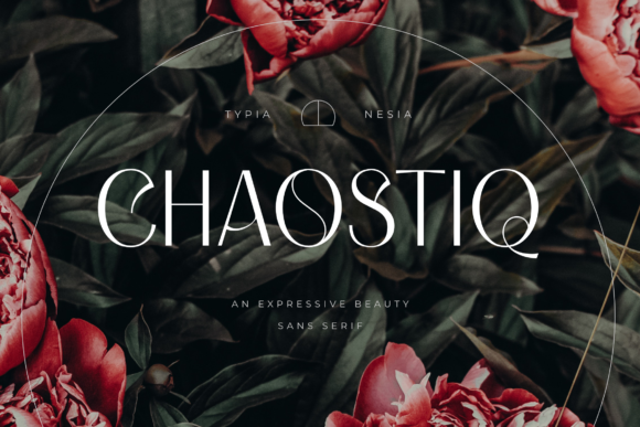 Chaostiq-Fonts-13149026-1-1-580x387