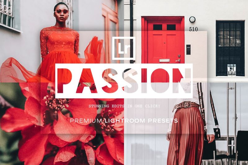 cover-