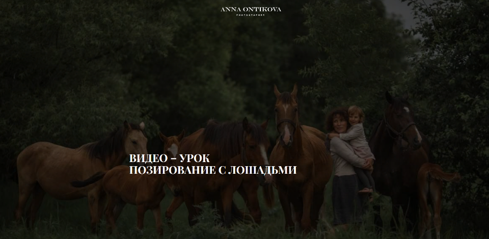 d8d902293d09