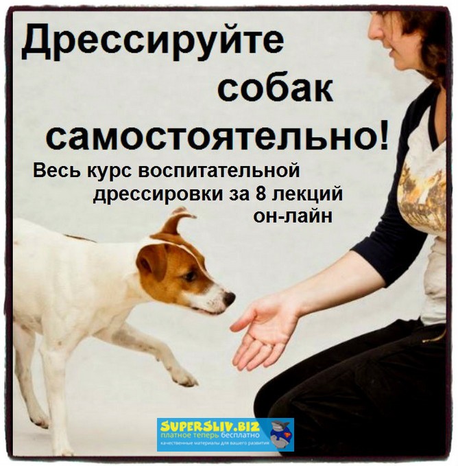 Дрессируйте собак самостоятельно! Полный курс