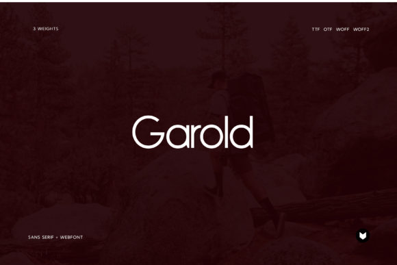 Garold-Fonts-16331157-580x387