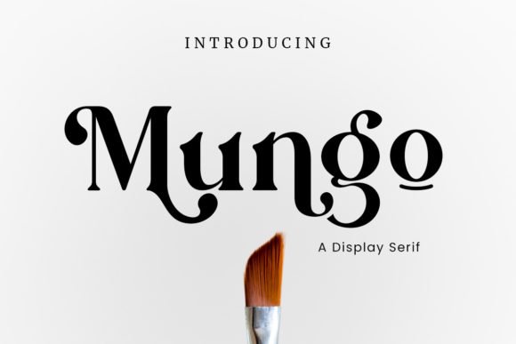 Mungo-Fonts-15749718-1-1-580x387