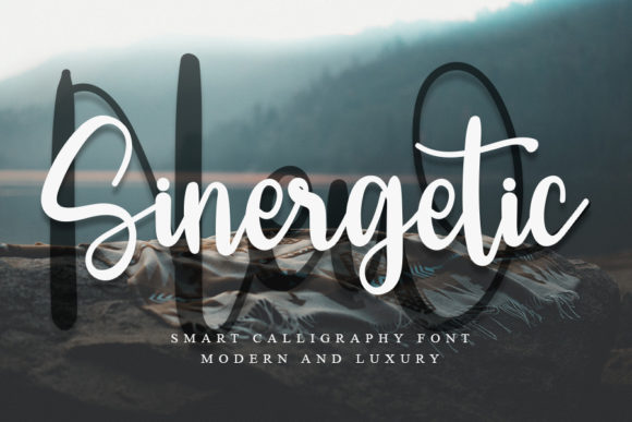 New-Sinergetic-Fonts-8788559-1-1-580x387