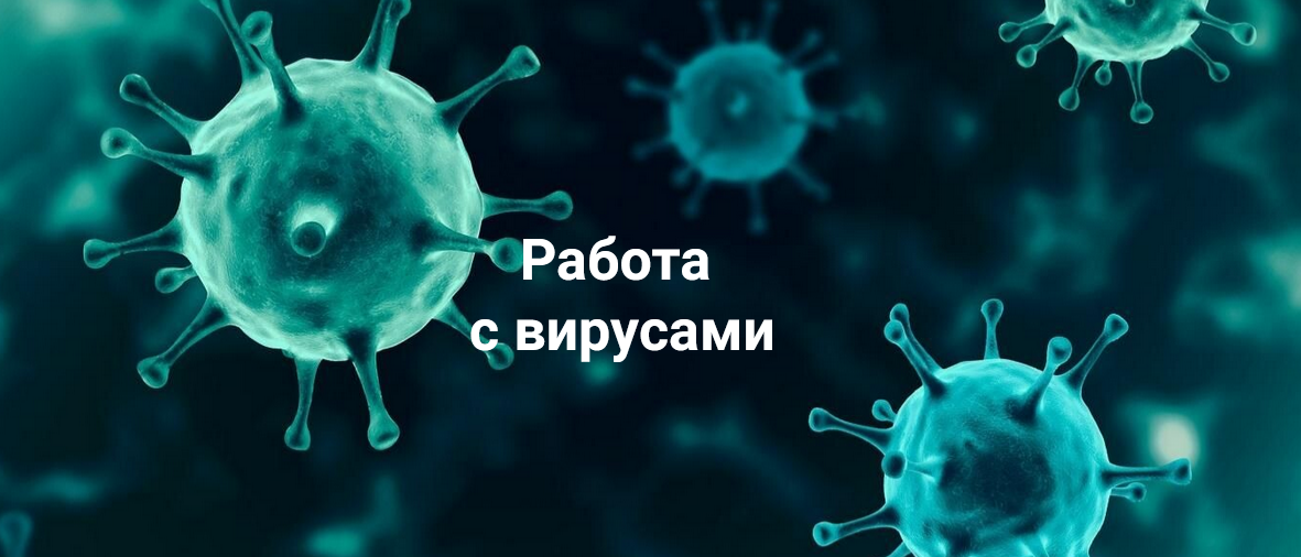 +