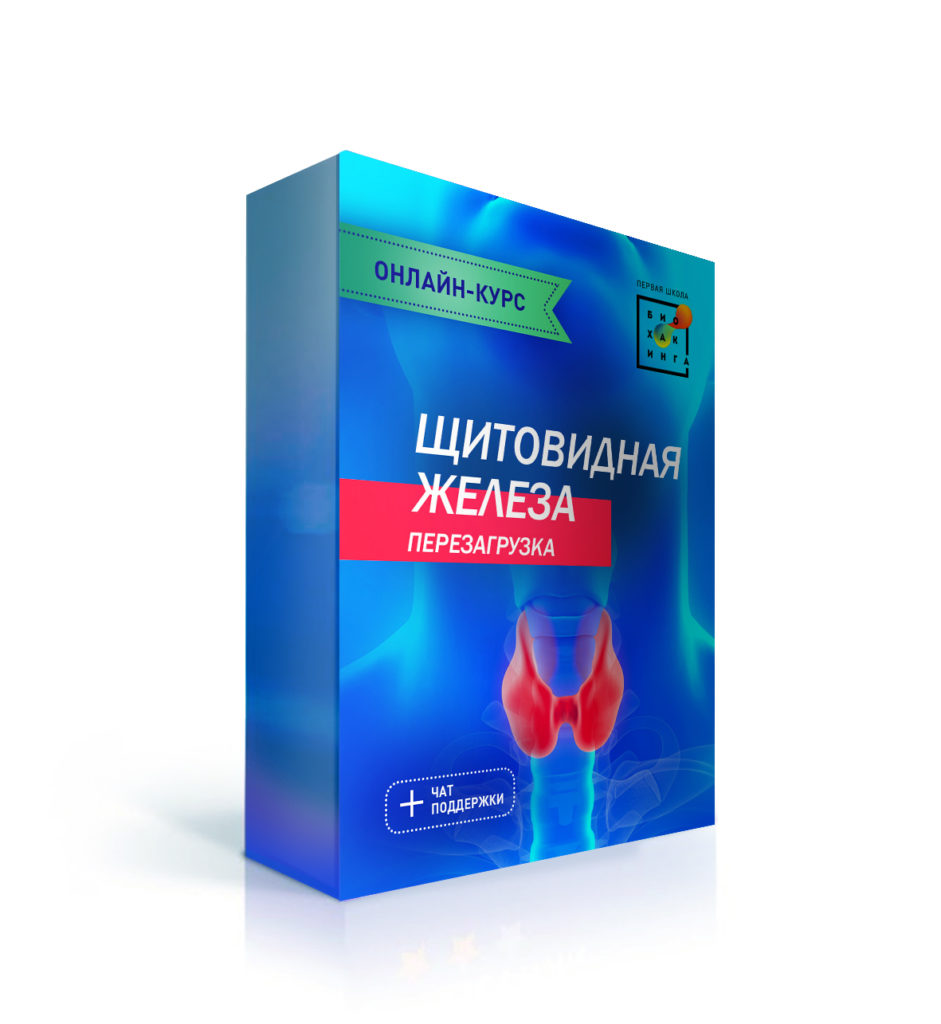 ЩЖ-941x1024