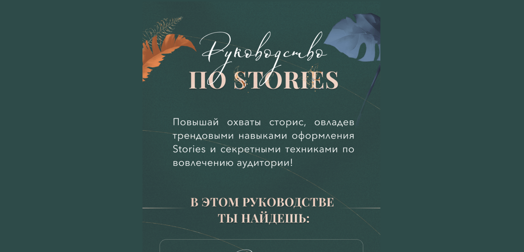 сторис
