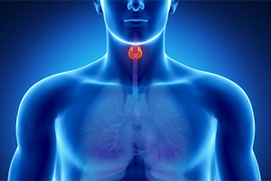 thyroid-s