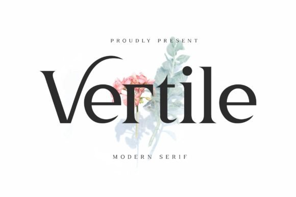 Vertile-Fonts-12699743-1-1-580x387