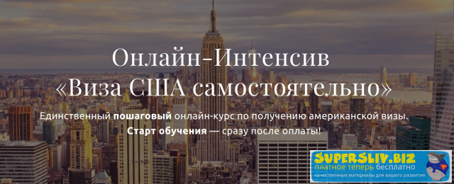 виза