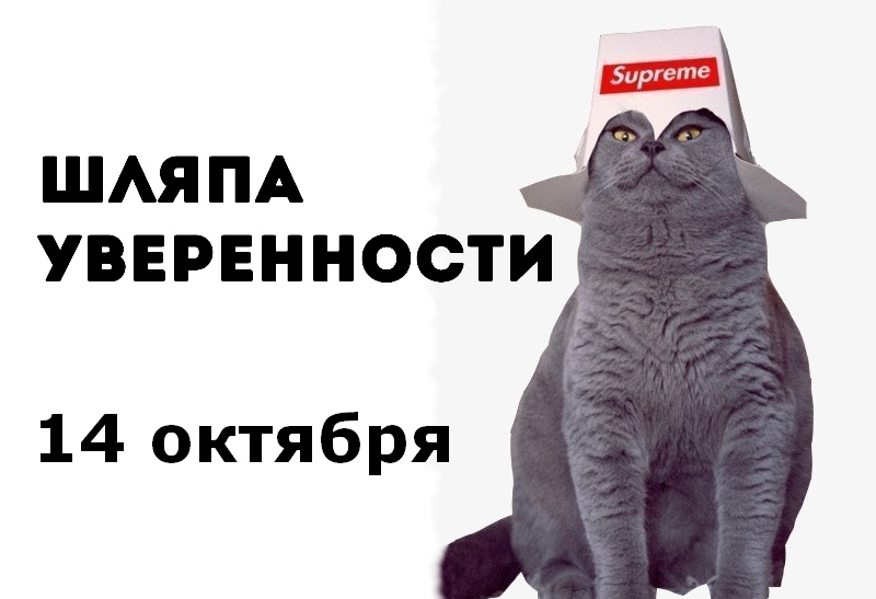 zj7zdoXf4dQ