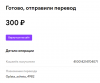 скрин оплаты.png