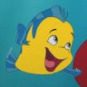 pawik