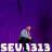 Seva313
