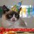 grumpy_cat